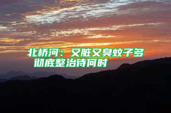 北橋河：又臟又臭蚊子多 徹底整治待何時(shí)