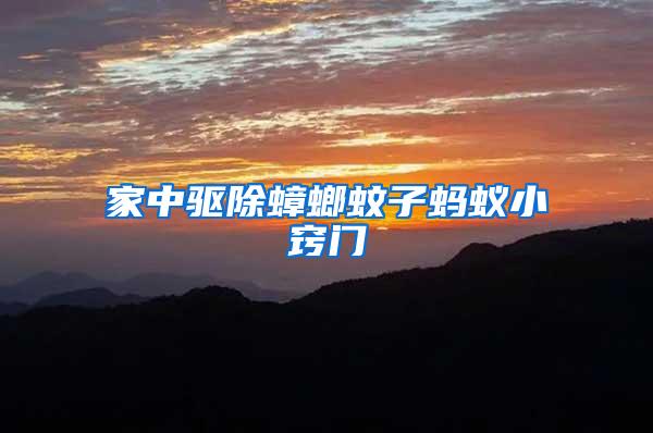 家中驅(qū)除蟑螂蚊子螞蟻小竅門