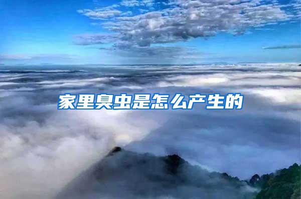 家里臭蟲是怎么產生的