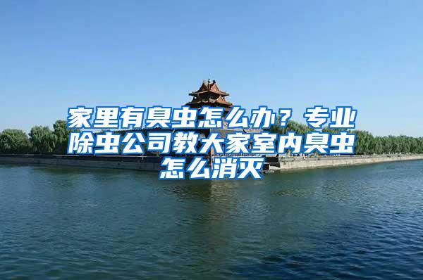 家里有臭蟲怎么辦？專業除蟲公司教大家室內臭蟲怎么消滅