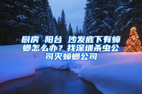 廚房 陽臺 沙發底下有蟑螂怎么辦？找深圳殺蟲公司滅蟑螂公司
