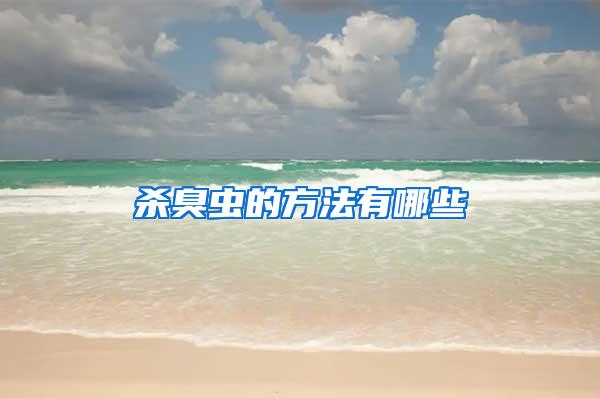 殺臭蟲(chóng)的方法有哪些