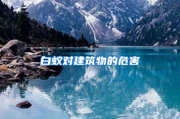 白蟻對(duì)建筑物的危害