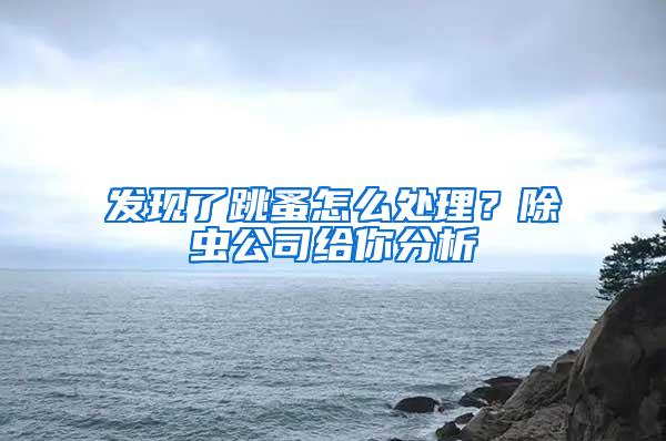 發現了跳蚤怎么處理？除蟲公司給你分析