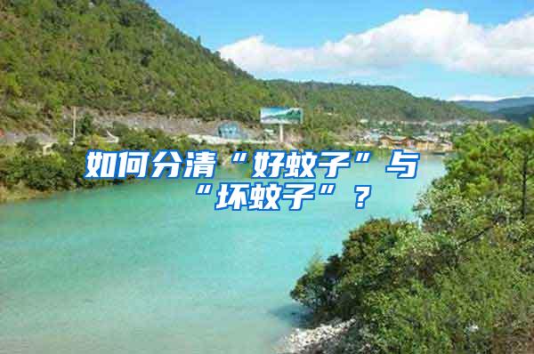 如何分清“好蚊子”與“壞蚊子”？