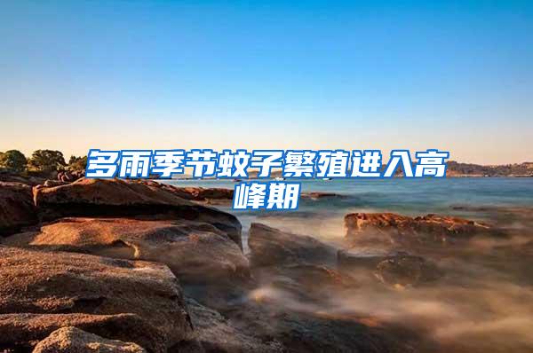 多雨季節蚊子繁殖進入高峰期