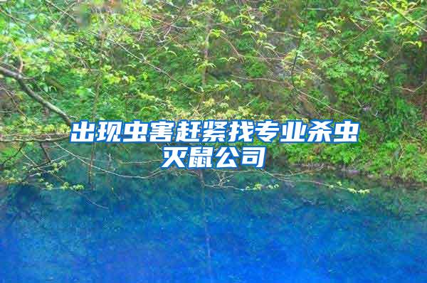 出現(xiàn)蟲(chóng)害趕緊找專業(yè)殺蟲(chóng)滅鼠公司