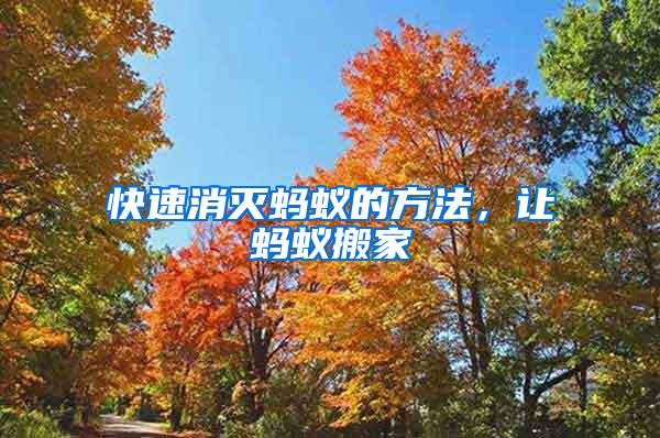 快速消滅螞蟻的方法，讓螞蟻搬家