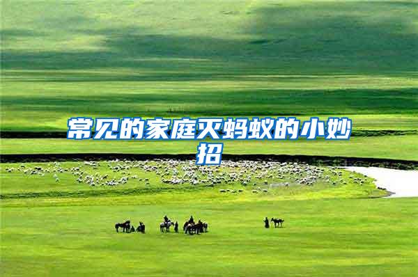 常見(jiàn)的家庭滅螞蟻的小妙招