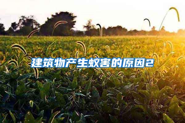 建筑物產生蟻害的原因2