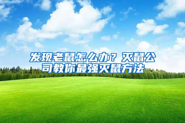 發(fā)現(xiàn)老鼠怎么辦？滅鼠公司教你最強滅鼠方法