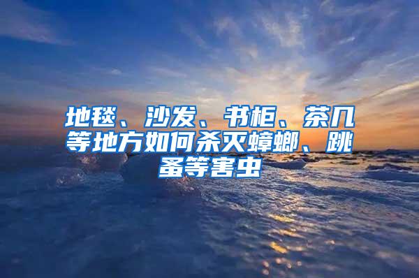 地毯、沙發、書柜、茶幾等地方如何殺滅蟑螂、跳蚤等害蟲