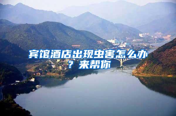 賓館酒店出現蟲害怎么辦？來幫你