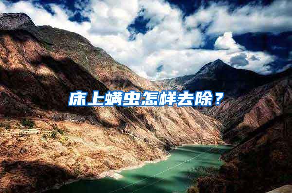 床上螨蟲怎樣去除？