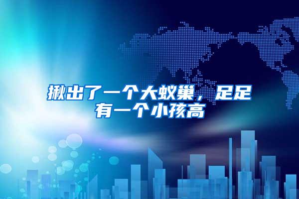 揪出了一個大蟻巢，足足有一個小孩高