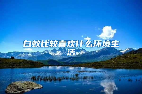 白蟻比較喜歡什么環(huán)境生活