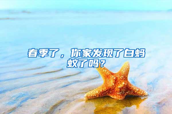 春季了，你家發現了白螞蟻了嗎？