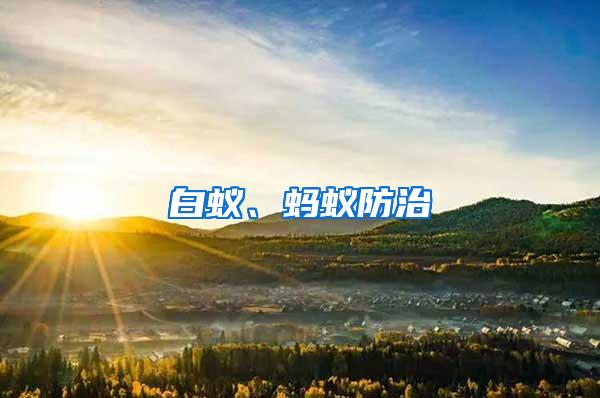 白蟻、螞蟻防治