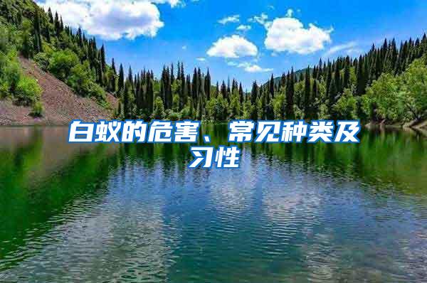 白蟻的危害、常見種類及習性