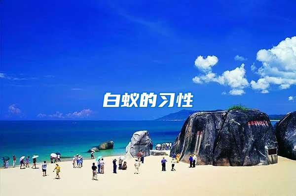 白蟻的習(xí)性
