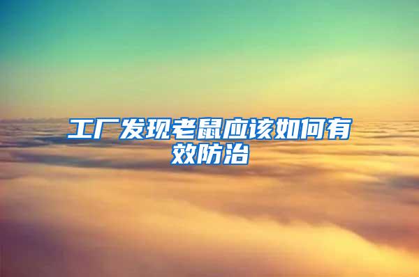 工廠發(fā)現(xiàn)老鼠應該如何有效防治