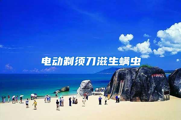 電動(dòng)剃須刀滋生螨蟲