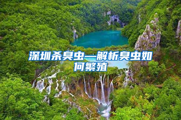 深圳殺臭蟲(chóng)—解析臭蟲(chóng)如何繁殖