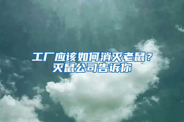 工廠應(yīng)該如何消滅老鼠？滅鼠公司告訴你