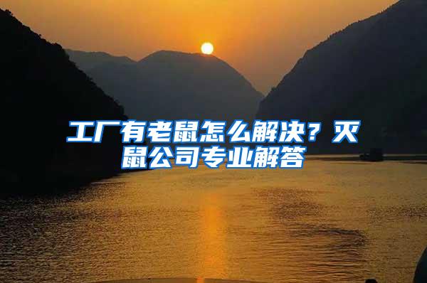 工廠有老鼠怎么解決？滅鼠公司專業解答
