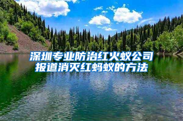 深圳專業防治紅火蟻公司報道消滅紅螞蟻的方法