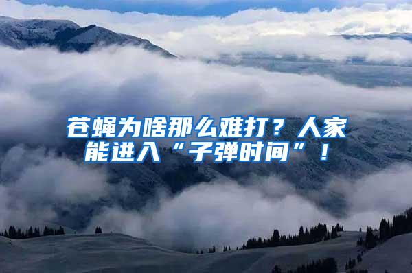 蒼蠅為啥那么難打？人家能進入“子彈時間”！