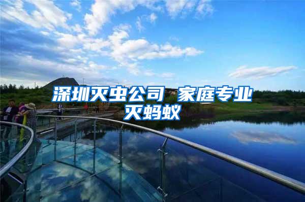 深圳滅蟲公司 家庭專業(yè)滅螞蟻