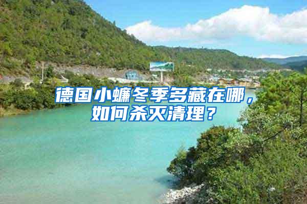 德國小蠊冬季多藏在哪，如何殺滅清理？