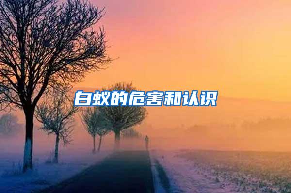 白蟻的危害和認(rèn)識