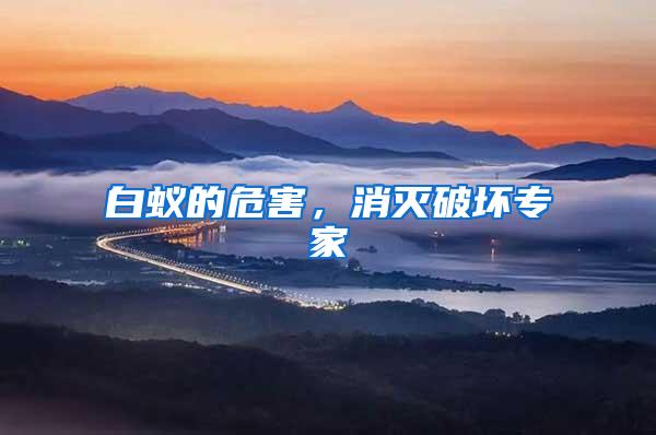 白蟻的危害，消滅破壞專家