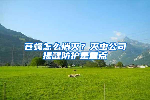 蒼蠅怎么消滅？滅蟲公司提醒防護是重點