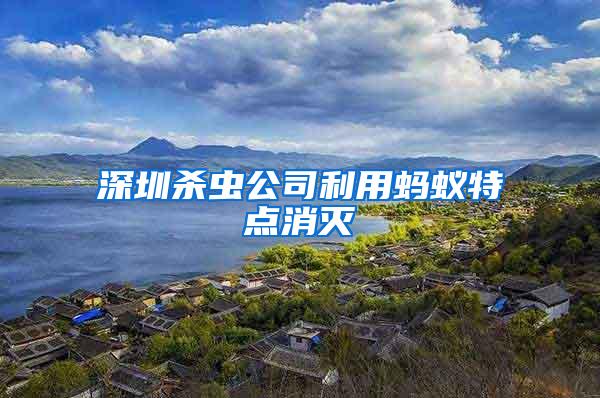深圳殺蟲公司利用螞蟻特點(diǎn)消滅