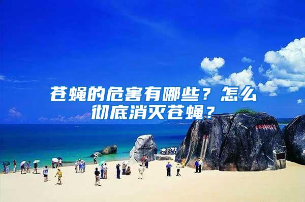 蒼蠅的危害有哪些？怎么徹底消滅蒼蠅？