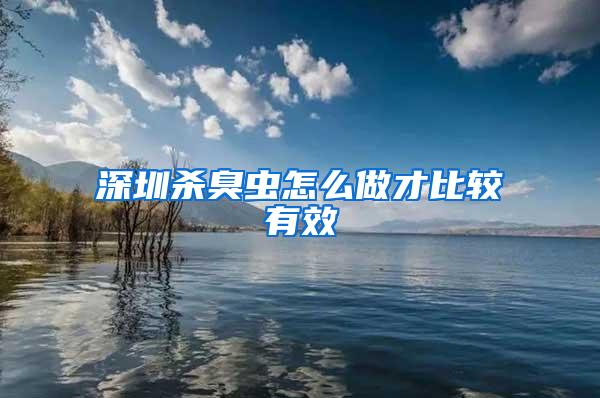 深圳殺臭蟲(chóng)怎么做才比較有效