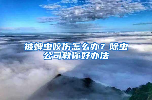 被蜱蟲咬傷怎么辦？除蟲公司教你好辦法