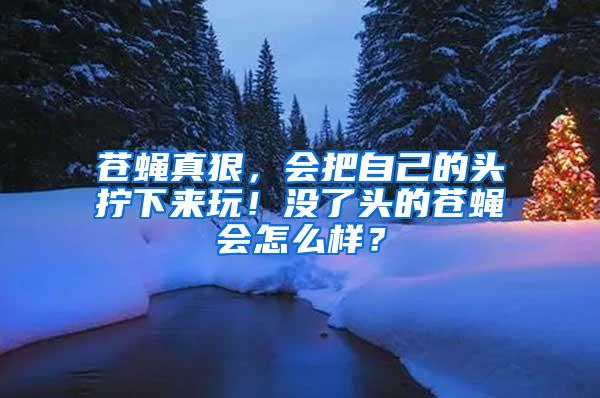 蒼蠅真狠，會把自己的頭擰下來玩！沒了頭的蒼蠅會怎么樣？