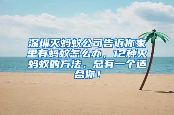 深圳滅螞蟻公司告訴你家里有螞蟻怎么辦，12種滅螞蟻的方法，總有一個適合你！