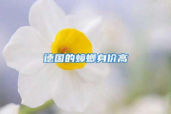德國的蟑螂身價高