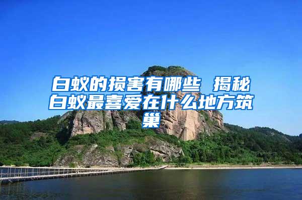 白蟻的損害有哪些 揭秘白蟻?zhàn)钕矏?ài)在什么地方筑巢