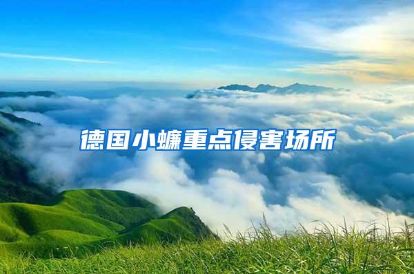 德國小蠊重點(diǎn)侵害場(chǎng)所