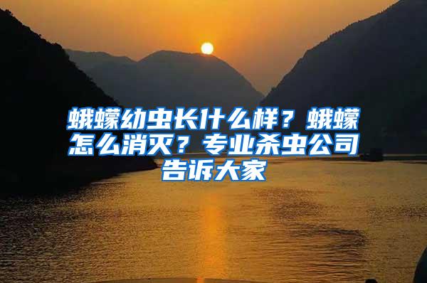 蛾蠓幼蟲(chóng)長(zhǎng)什么樣？蛾蠓怎么消滅？專(zhuān)業(yè)殺蟲(chóng)公司告訴大家