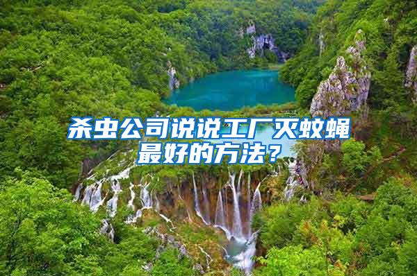 殺蟲(chóng)公司說(shuō)說(shuō)工廠滅蚊蠅最好的方法？