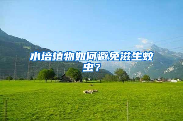 水培植物如何避免滋生蚊蟲？