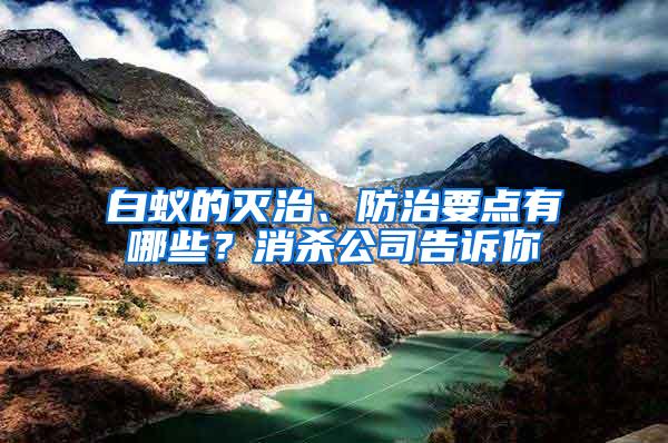 白蟻的滅治、防治要點有哪些？消殺公司告訴你