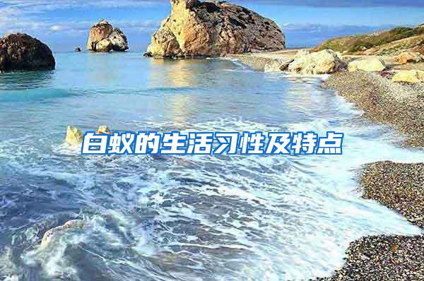 白蟻的生活習(xí)性及特點(diǎn)